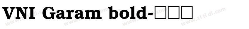 VNI Garam bold字体转换